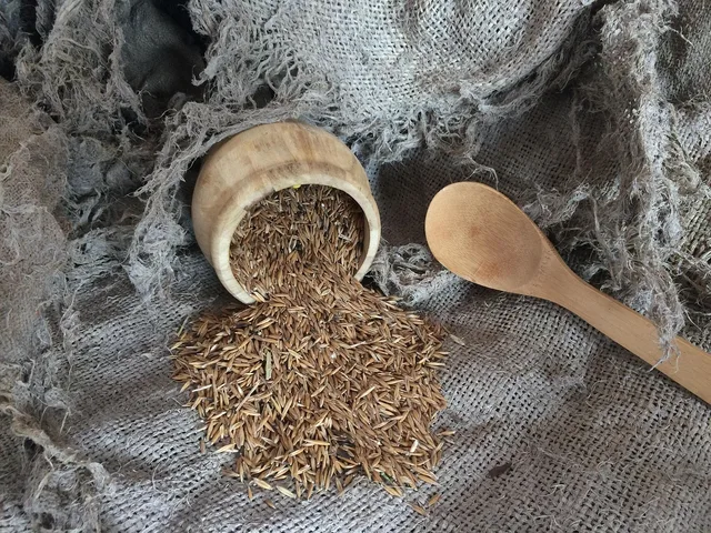 getreide, alt, jahrgang, landhaus, ländlich, esparto, table of food. Geschäftslokale nach Branche prüfen: Widmung, Betriebsanlage und Öffnungszeiten